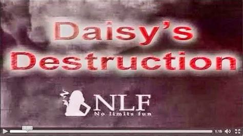 nlf daisy's destruction.